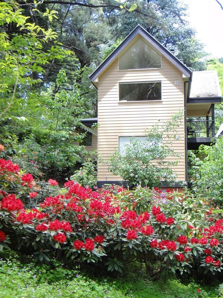 Lochiel Luxury Accommodation Olinda Buitenkant foto