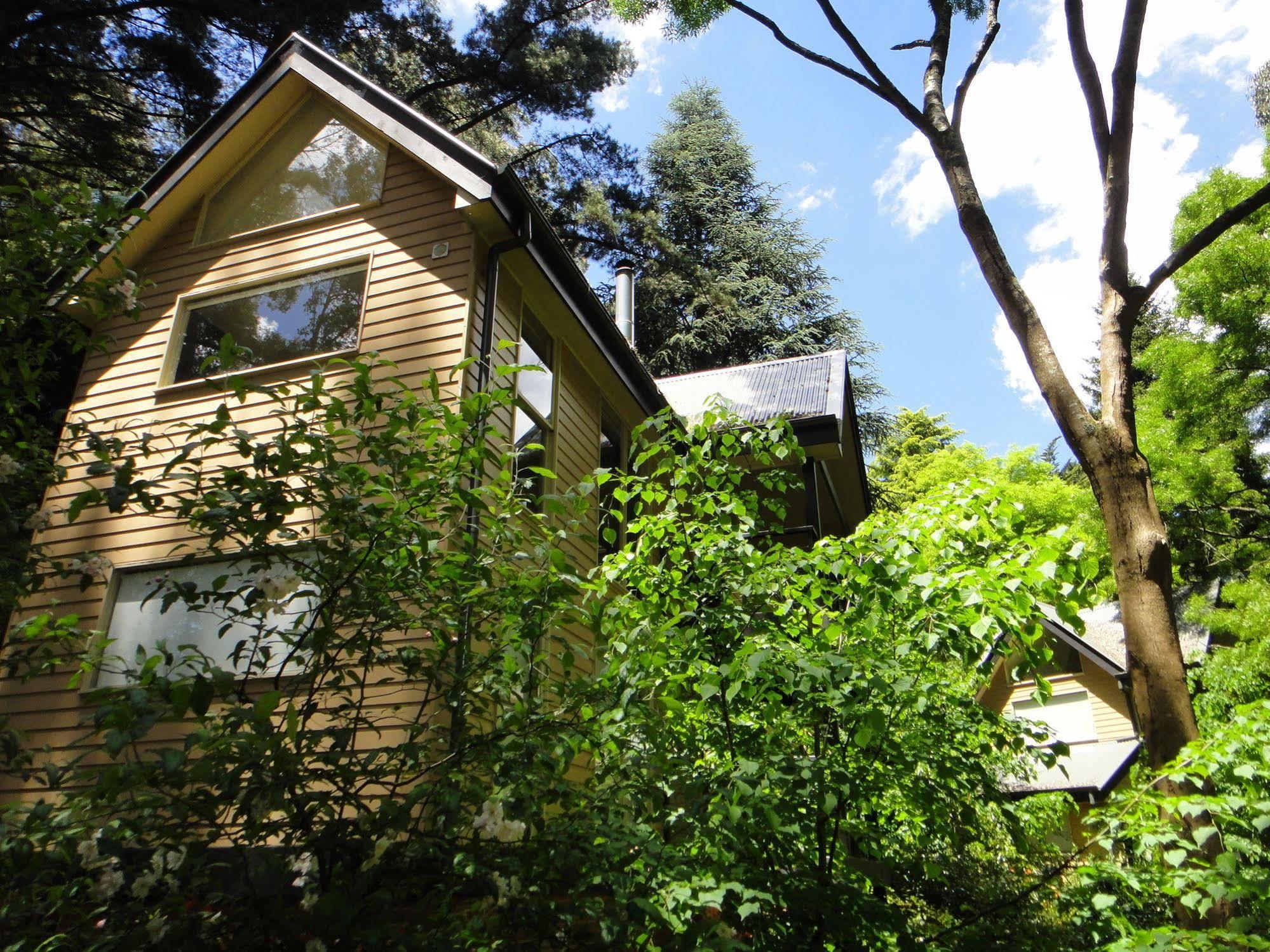 Lochiel Luxury Accommodation Olinda Buitenkant foto