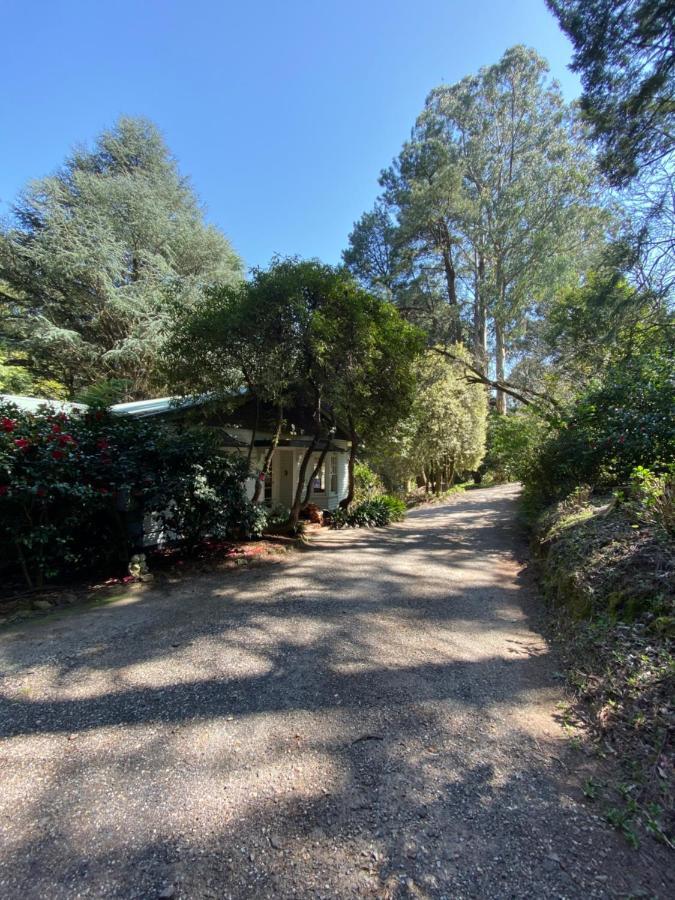 Lochiel Luxury Accommodation Olinda Buitenkant foto