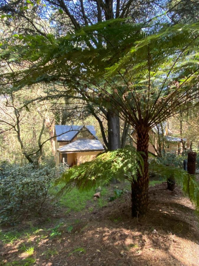 Lochiel Luxury Accommodation Olinda Buitenkant foto