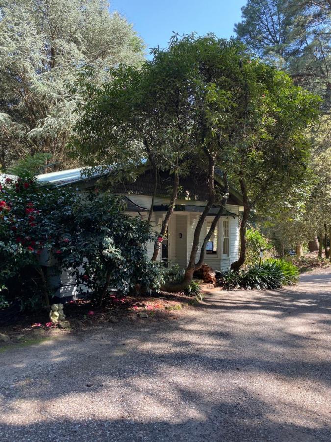 Lochiel Luxury Accommodation Olinda Buitenkant foto